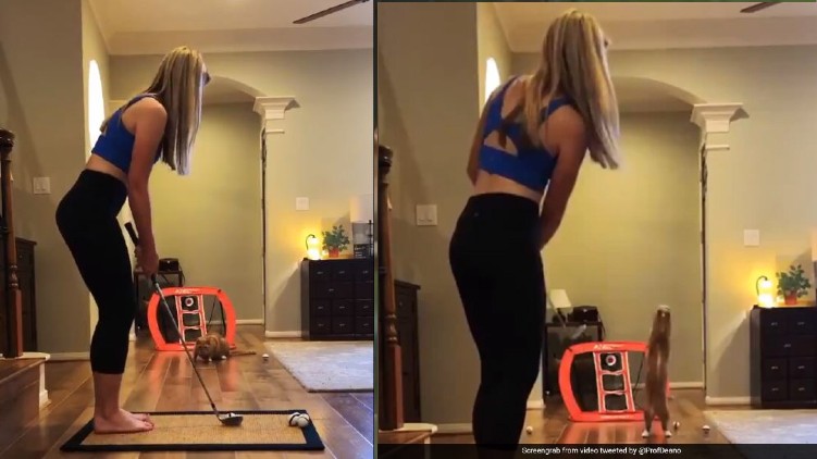Cat Fielding Skills Video