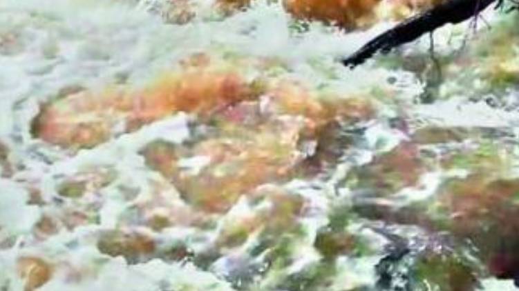 nilabur flood