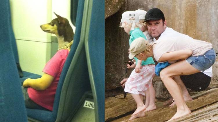 photos that confused internet