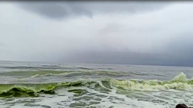 secret behind green waves