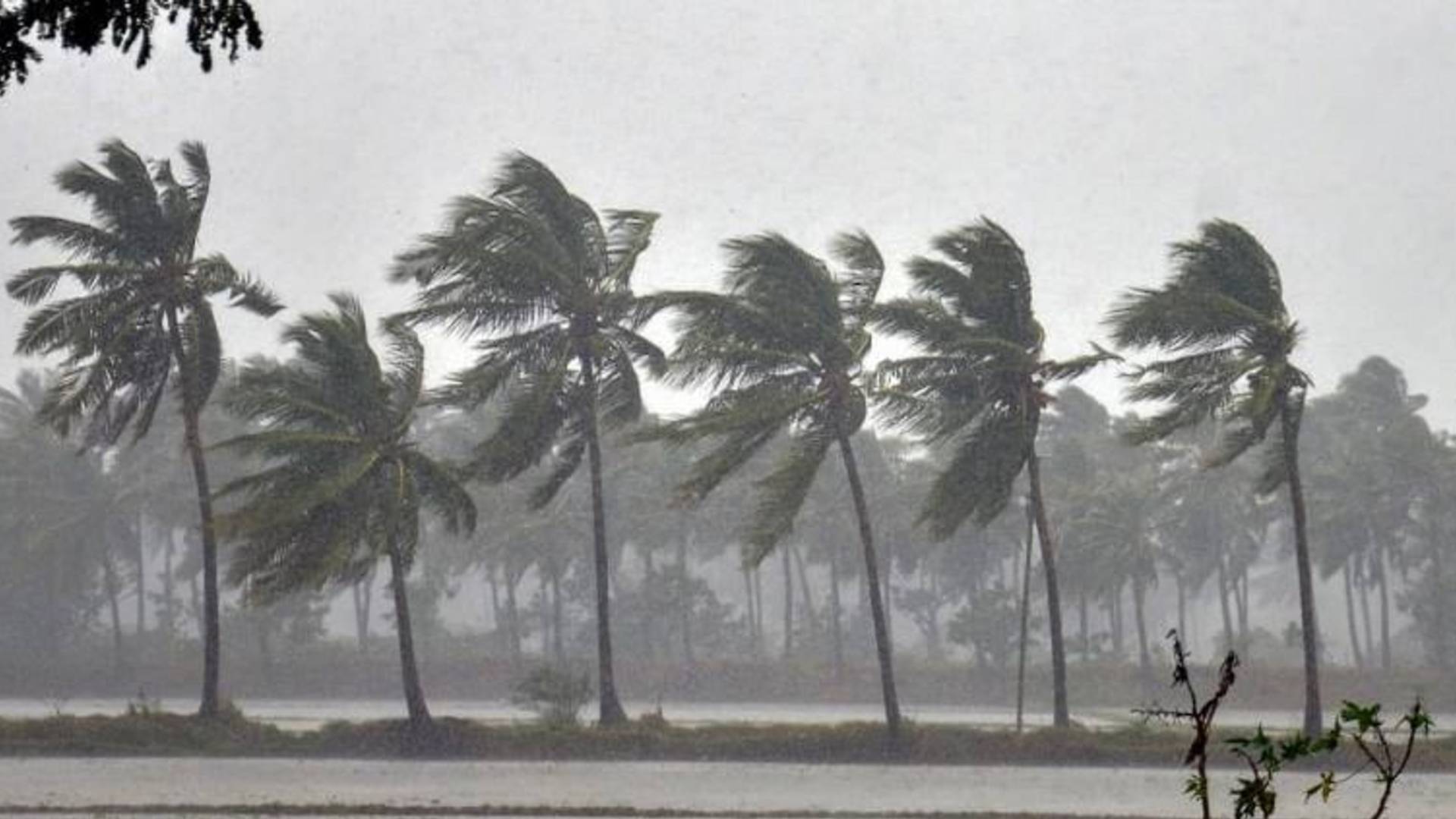 red alert in different districts of kerala