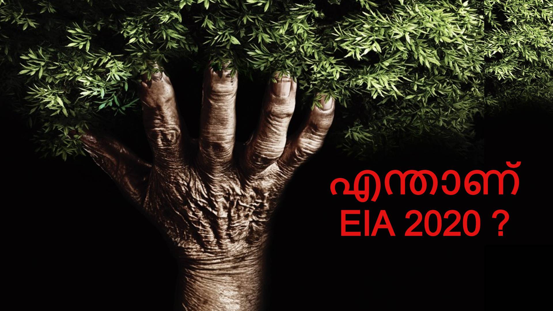 what is eia 2020