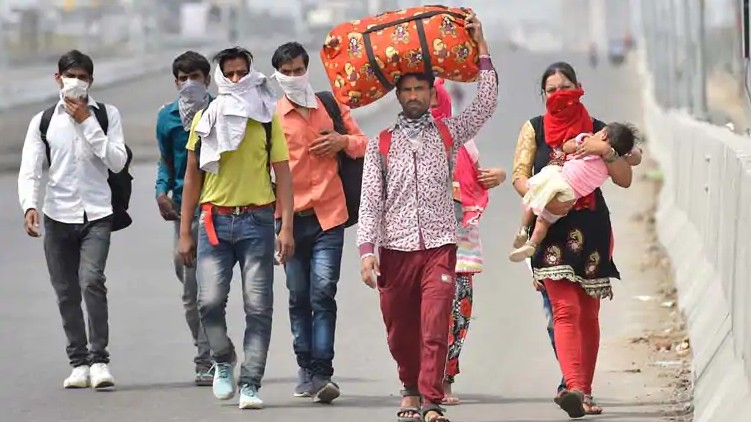 order covid migrant workers
