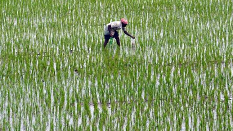 agriculture