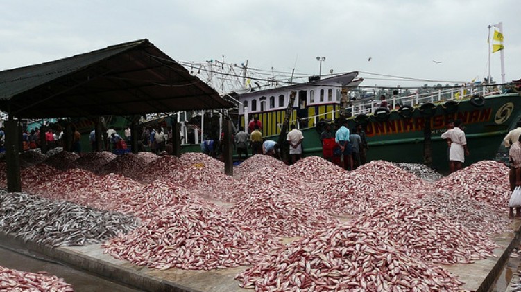 munambam fishing harbor