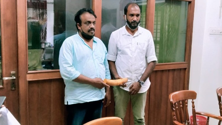 2 held elephant tusk