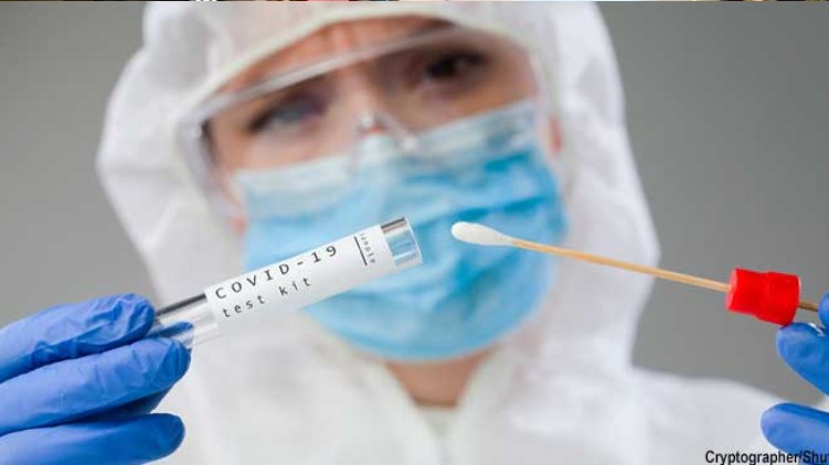 46162 samples tested