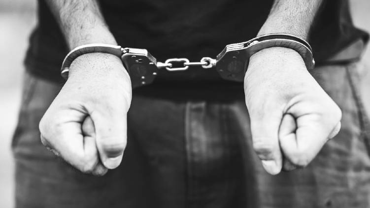 gold smuggling case culprits get bail
