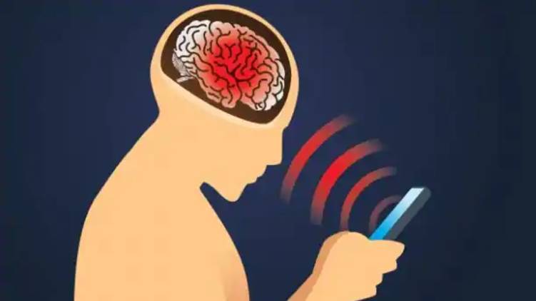 mobile phone use wont cause tumor says expert
