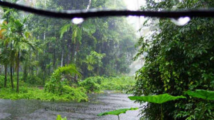 nyul cyclone chances of heavy rain kerala