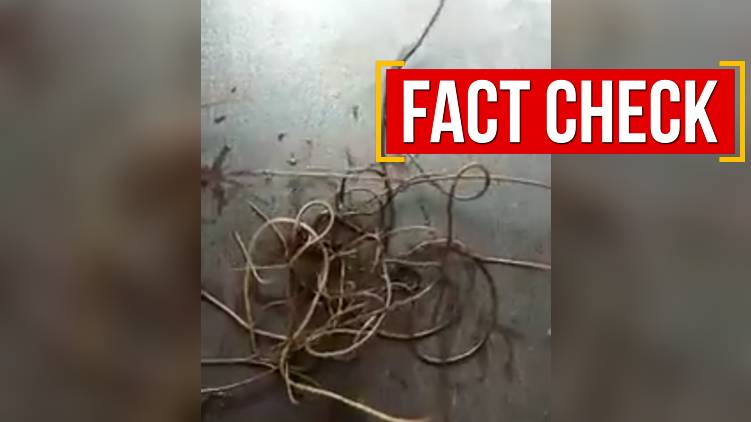 what is sivanagam 24 fact check