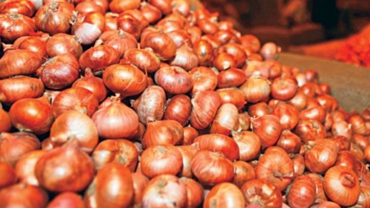 onion prices hike ; kerala Government intervention