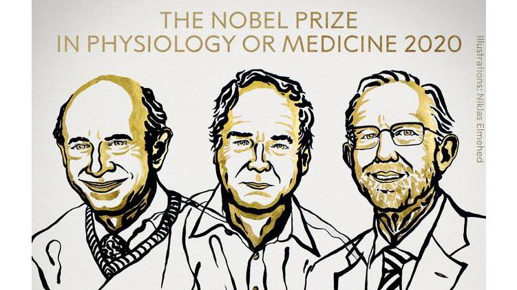 nobel prize medicine 2020