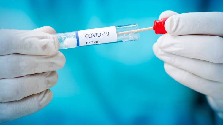 covid test
