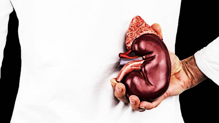 six women lost kidney during lockdown