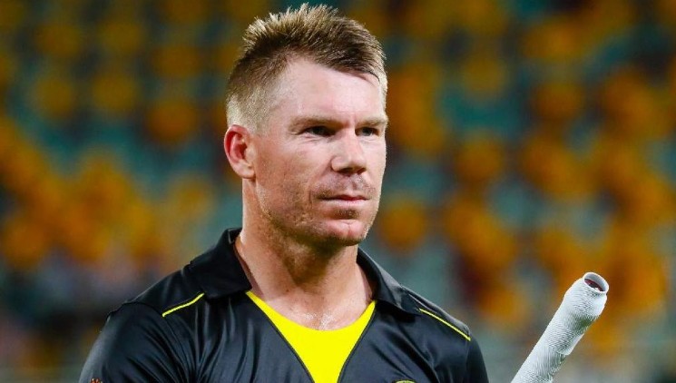 David Warner quality cricket