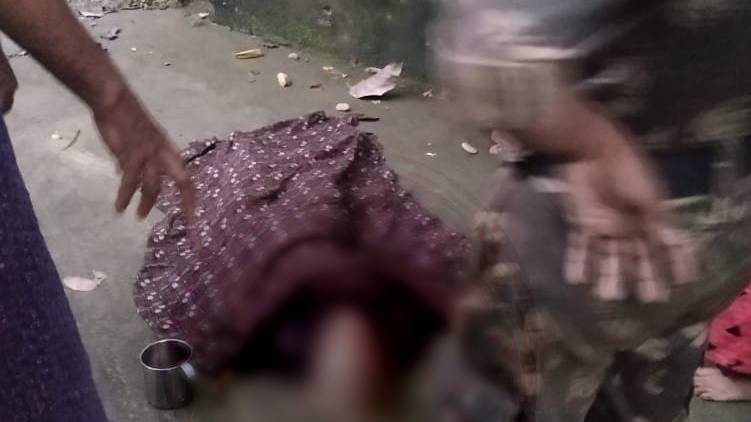 wild elephant killed elderly woman in Attapadi
