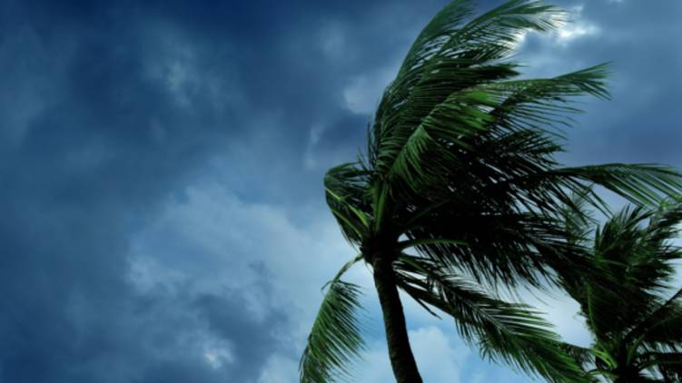 nivar cyclone enters land soon