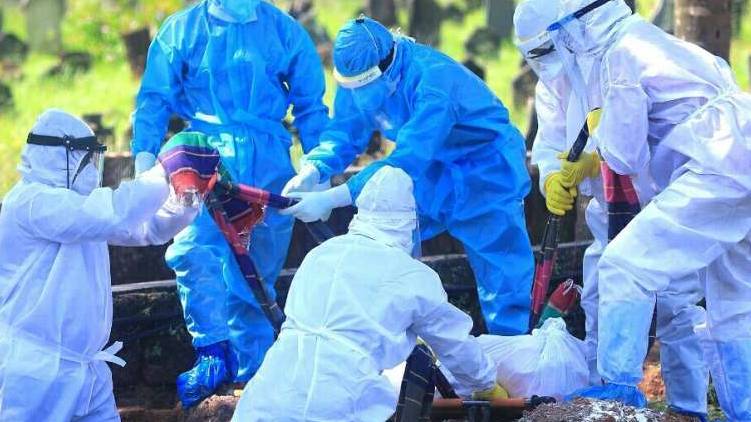 covid 19, covid deaths, coronavirus