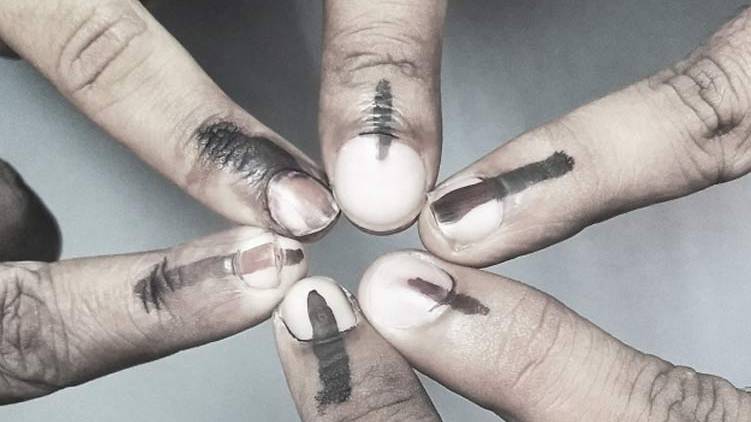 Local body elections will be held on Monday