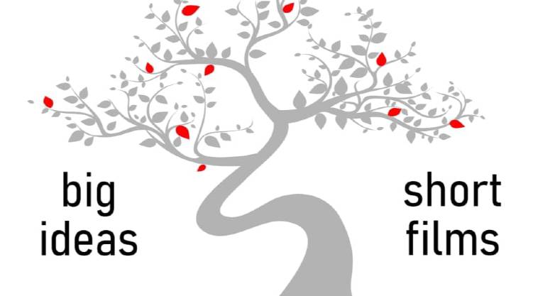 Bonsai 2020 Film Festival great ideas and small films