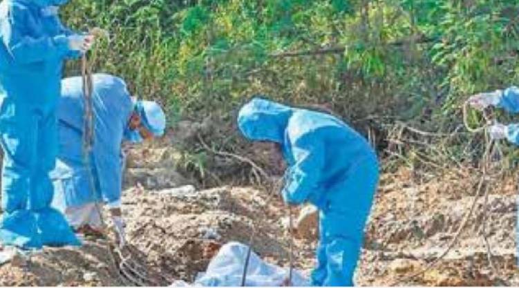 covid 19, coronavirus, covid death