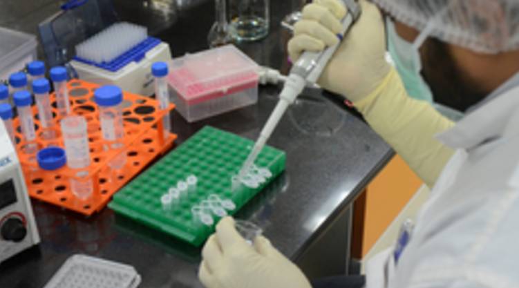 covid 19, coronavirus, uae