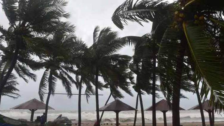 burevi cyclone 5 districts declared holiday