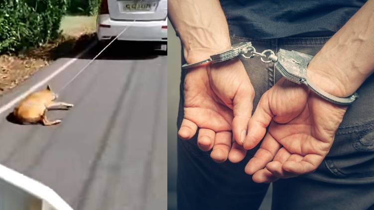 car driver dragged dog arrested