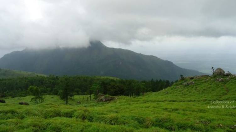 clean evacuation carried out at ponmudi