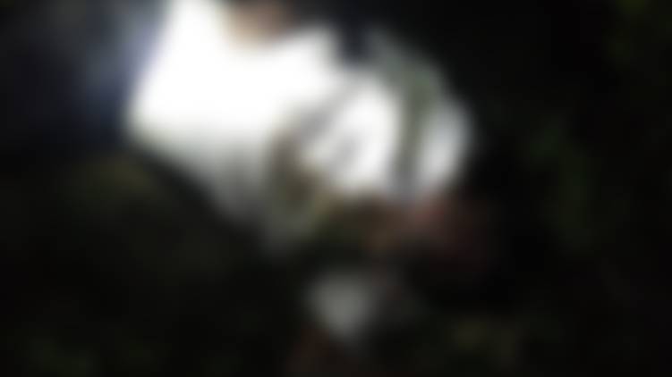neelgiri elephant attacked father and son