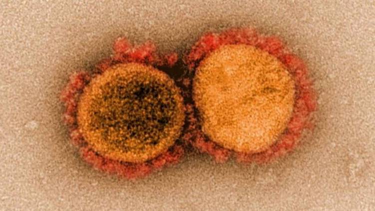 new coronavirus strain in britain