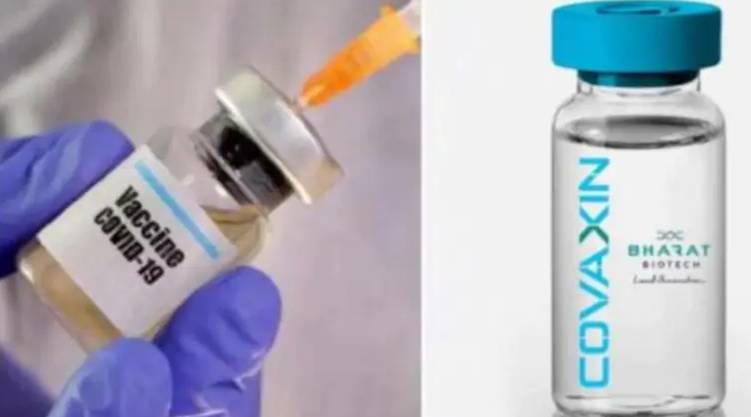 indias covaxin gets expert panel nod for emergency use