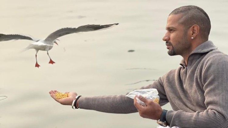 case Dhawan feeding birds