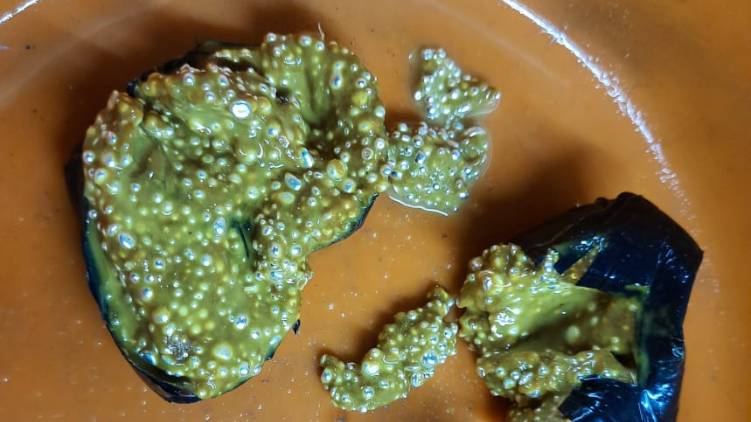 karipur gold smuggling