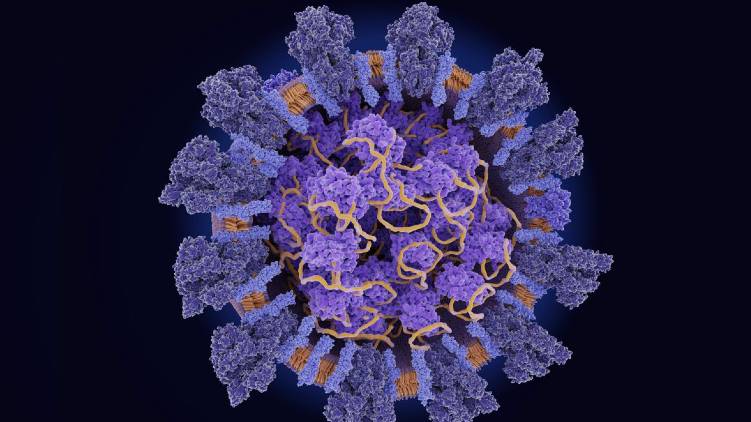 mutated coronavirus cases increase in india