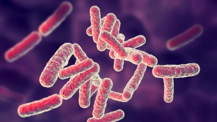 one more confirmed shigella in ernakulam