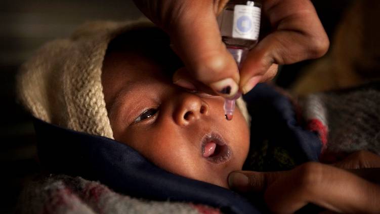 pulse polio distribution begins tomorrow