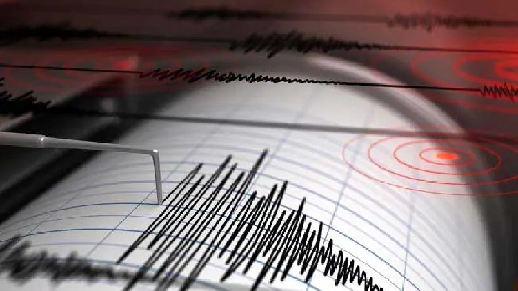 earthquake Tsunami warning Zealand