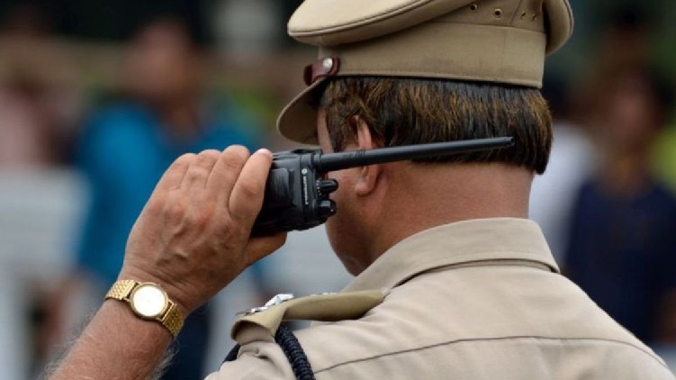 Employment fraud Show cause
