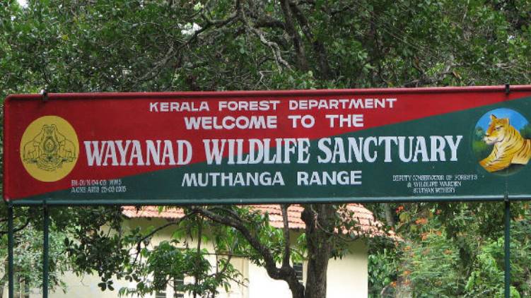 wayanad wild life sanctuary