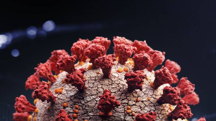 uk variant coronavirus confirmed again in kerala