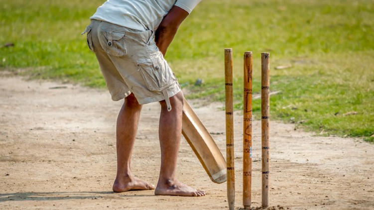 Family attacked play cricket