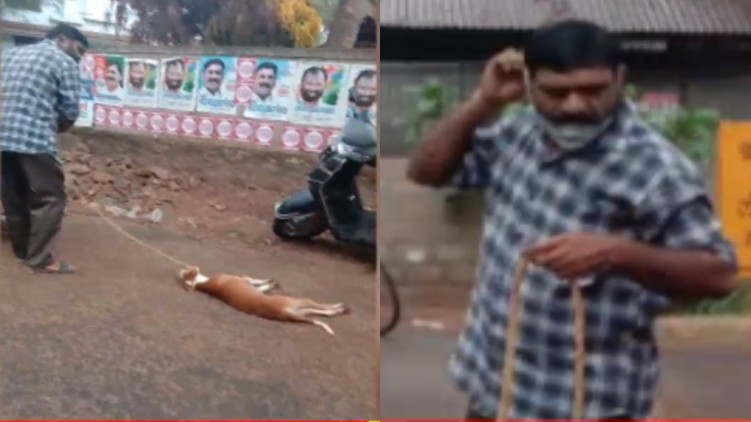 cruelty pet dog arrested
