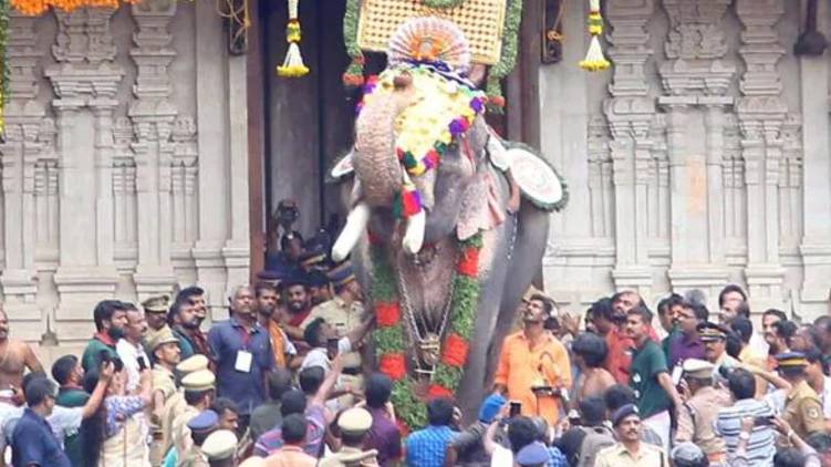 thrissur pooram