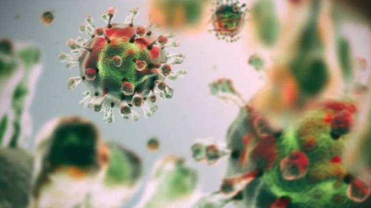 kerala reported contagious mutant virus