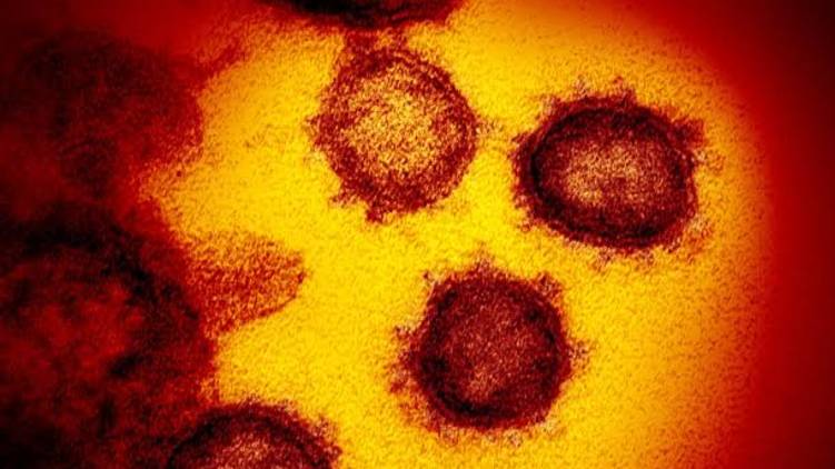 massive spread of mutated coronavirus in kerala
