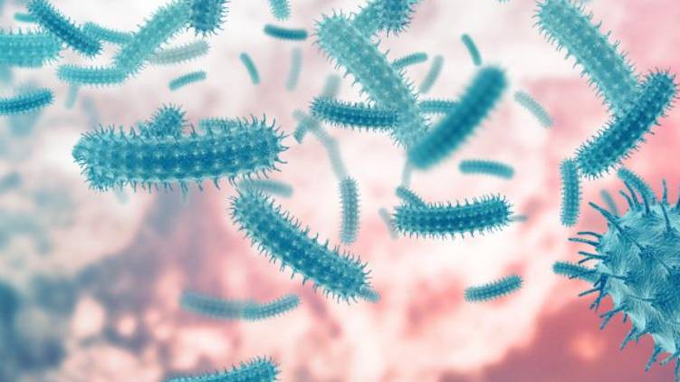 shigella confirmed again in ernakulam