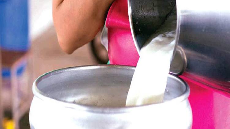 milma milk