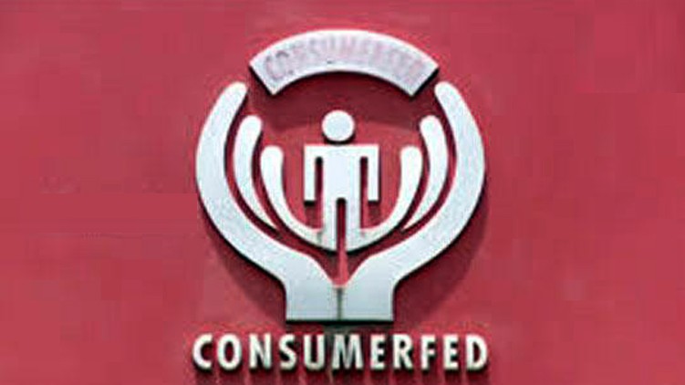 Consumer Fed online business